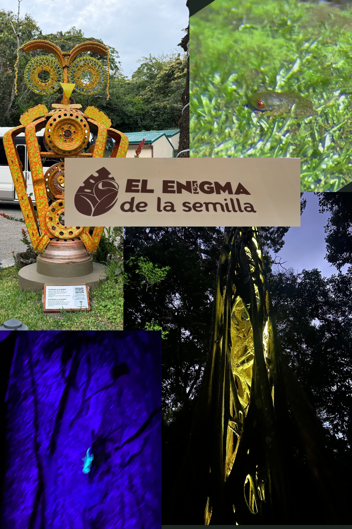 Night tour at El Enigma de la Semilla in Monteverde, Costa Rica