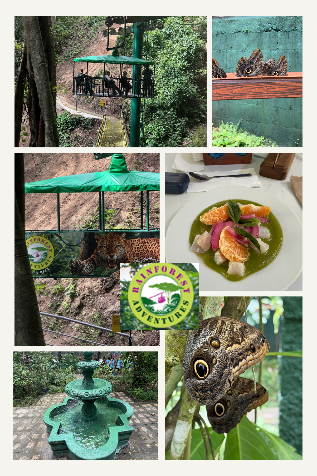 Rainforest Adventure tour on the Central Pacific coast of Costa Rica