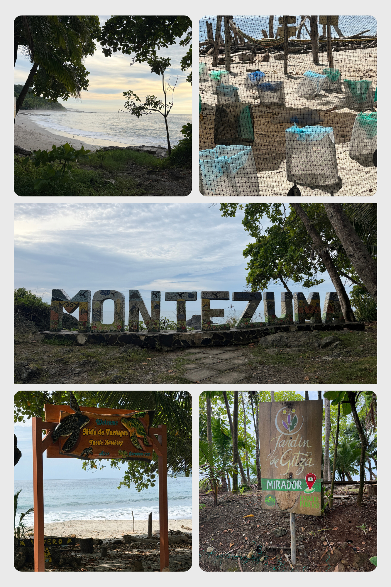 Cabo Blanco Nature Reserve trail and coastal views in Costa Rica