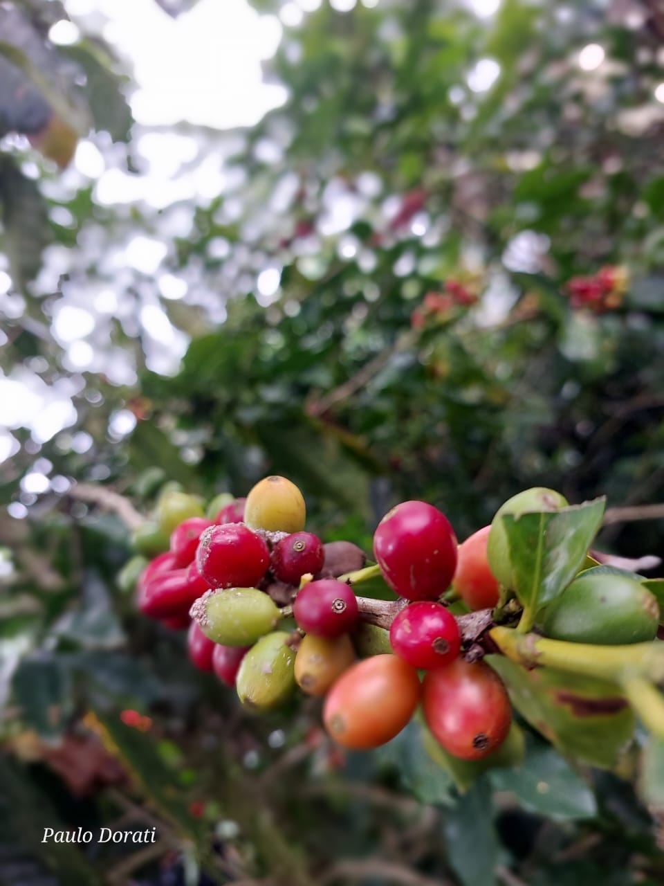 Costa Rica moment