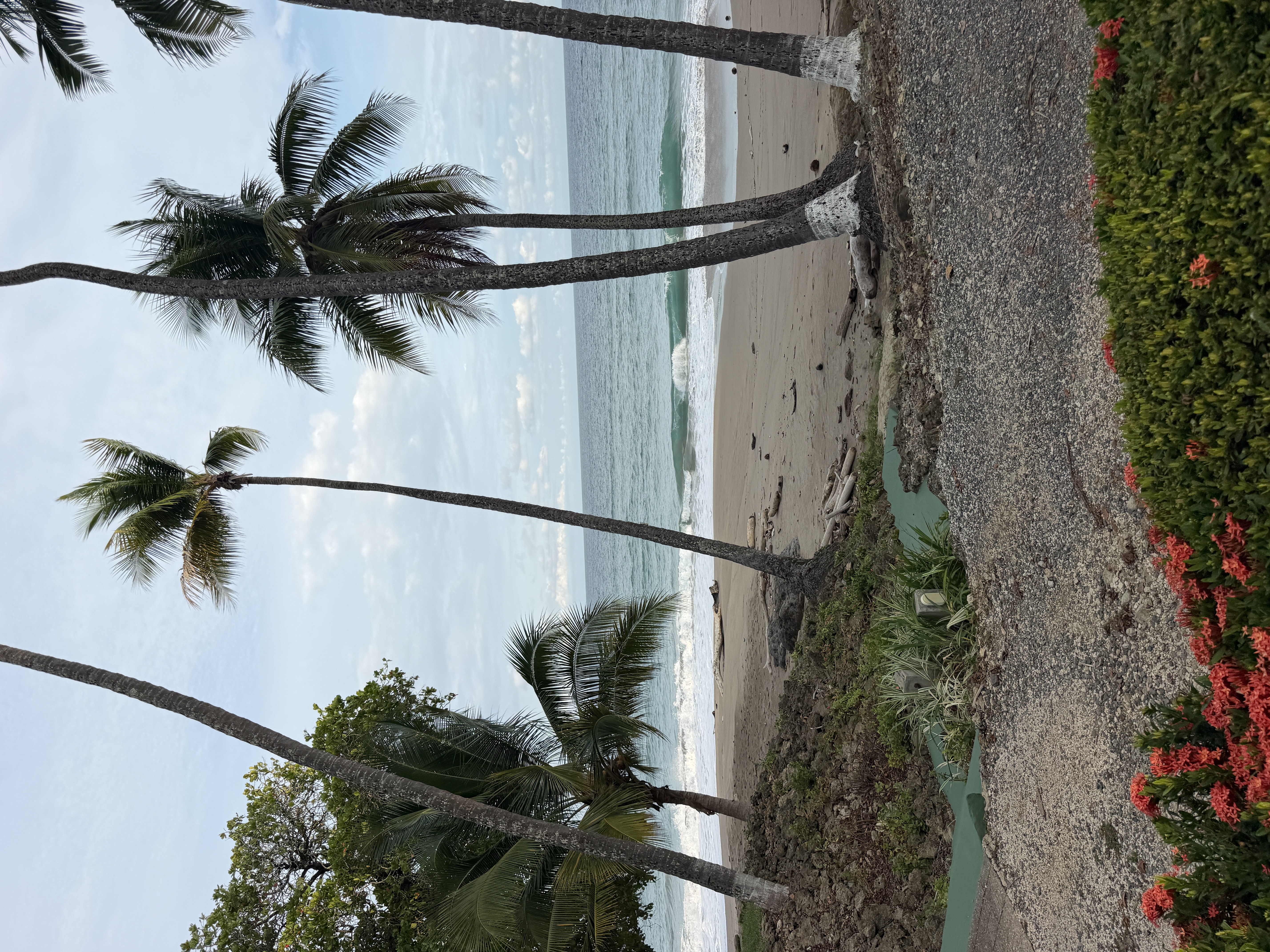 Costa Rica landscape — cloud forests, coastline, and pura vida