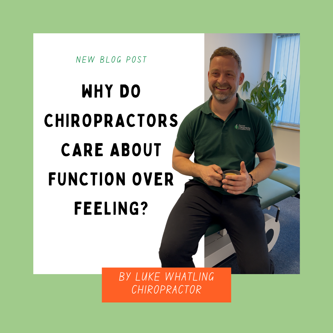 what is chiropractic