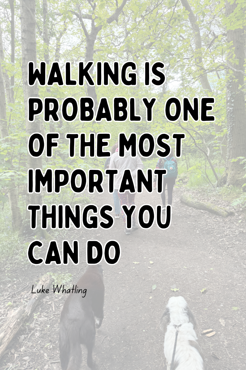 Walking with friends in nature with quote by Luke Whatling, chiropractor at Goose Chiropractic