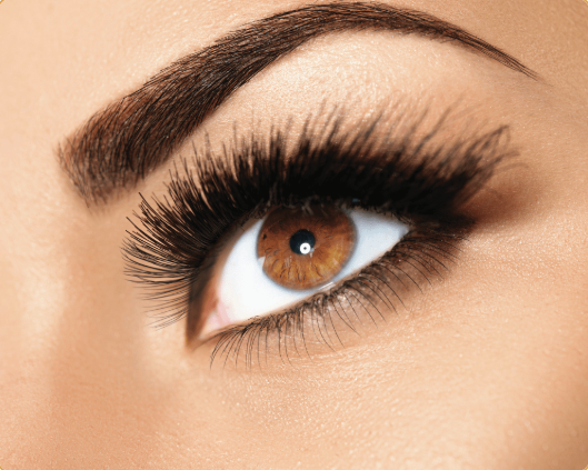 Wimpern- & Augenbrauen Styling
