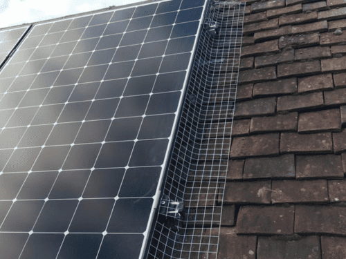 Bird Mesh Installing in San Francisco