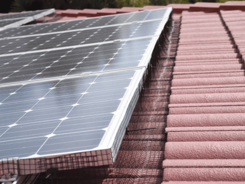 Modesto Bird Mesh Installing