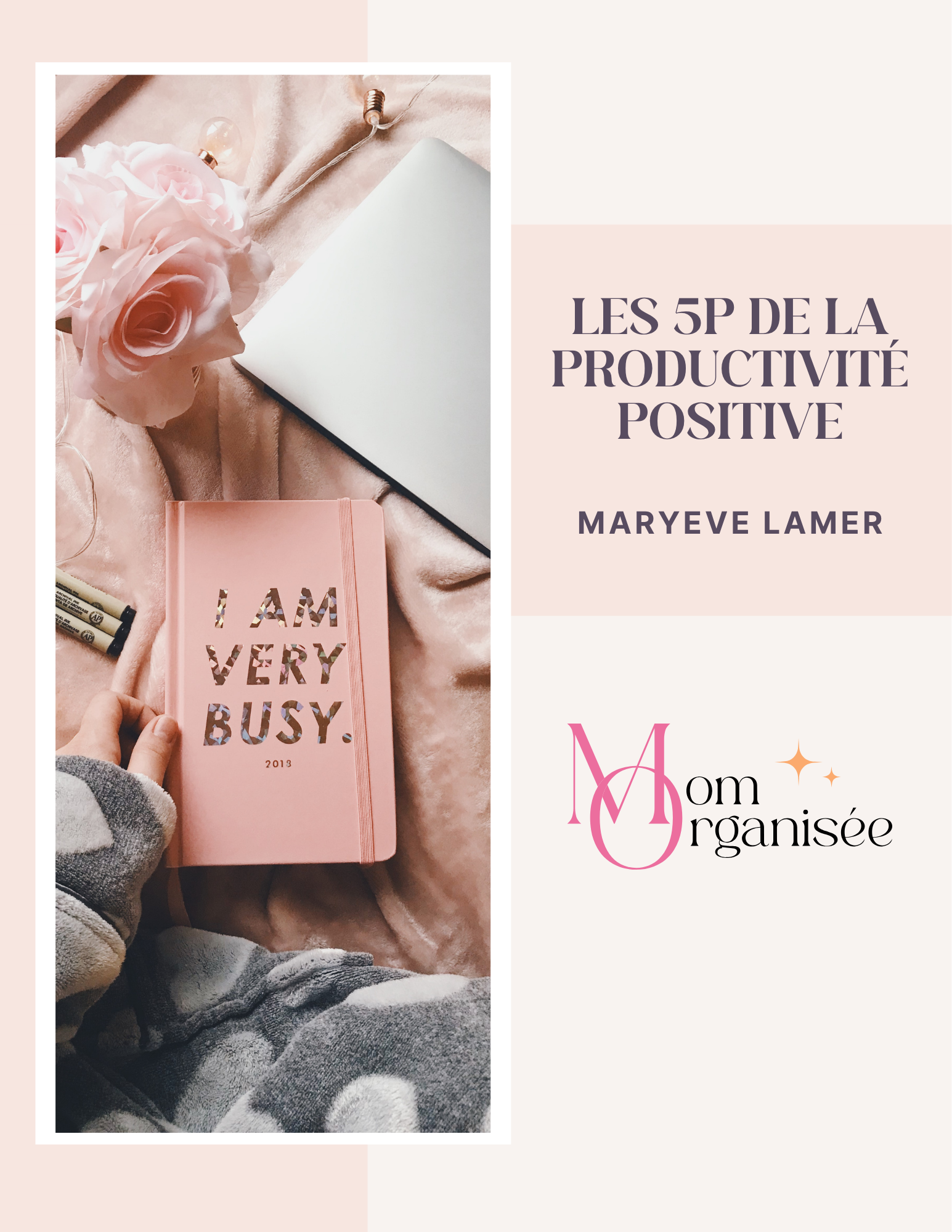 Les 5P de la Productivité Positive