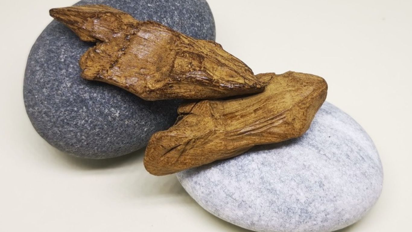 Agarwood comes in different shades of brown