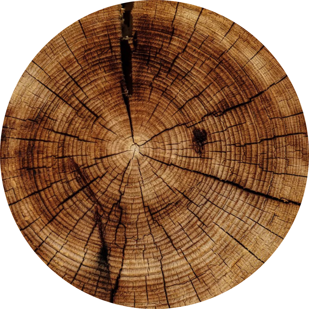 Wood element 五行 - 木