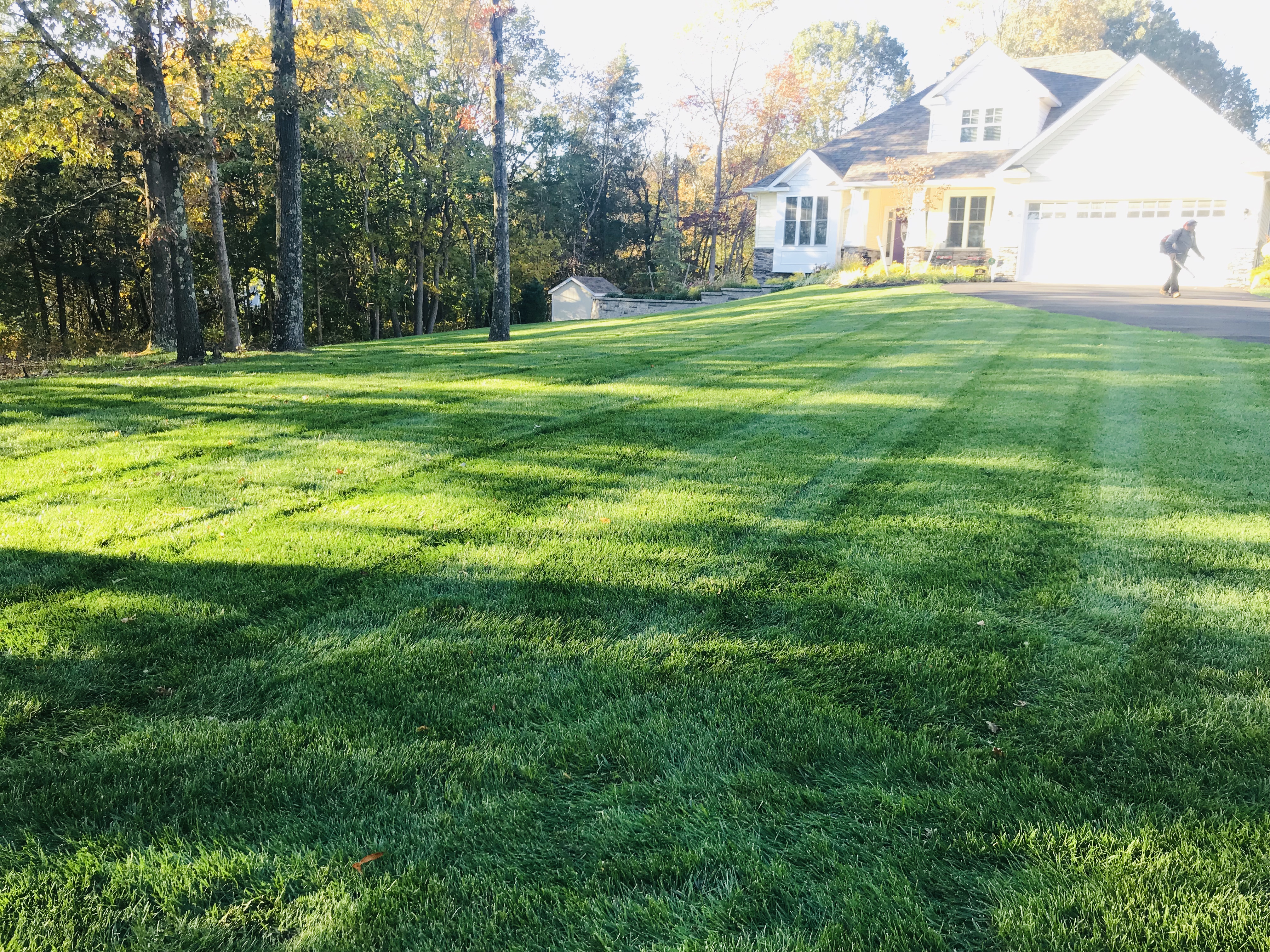 Fertilized Healthy Lawn Results Fertilized Healthy Lawn Results