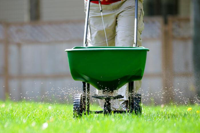 Fertilizing Fertilizing