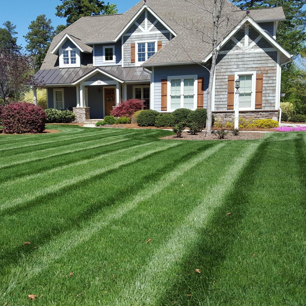 Perfect lawn Perfect lawn
