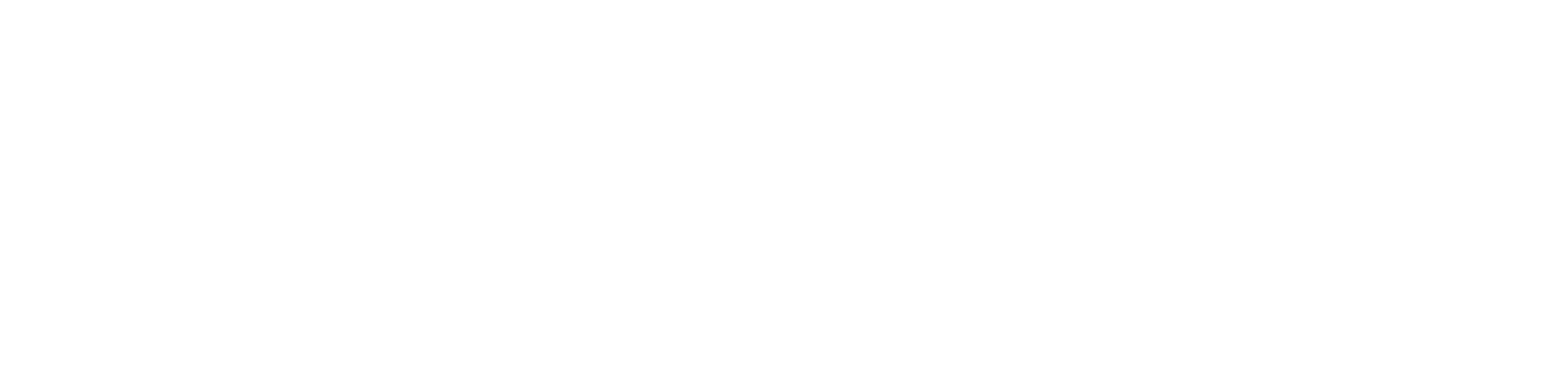 Ecommerce Integrators