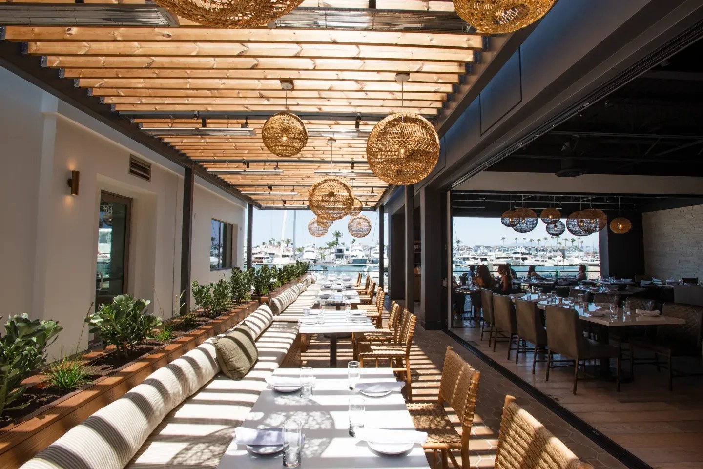 Shorebird San Diego location