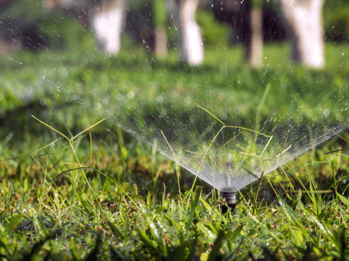 Irrigation & Sprinkler in College Station