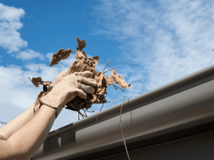 {{ custom_values.service_2 }} in {{custom_values.area_3})