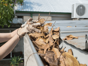 {{ custom_values.service_1 }} in {{custom_values.area_2})