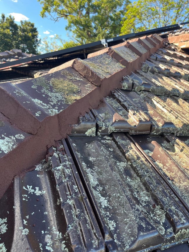 Roofing Services in Willoughby