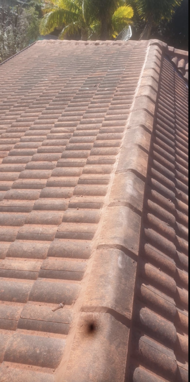 Tile Repair in Cremorne