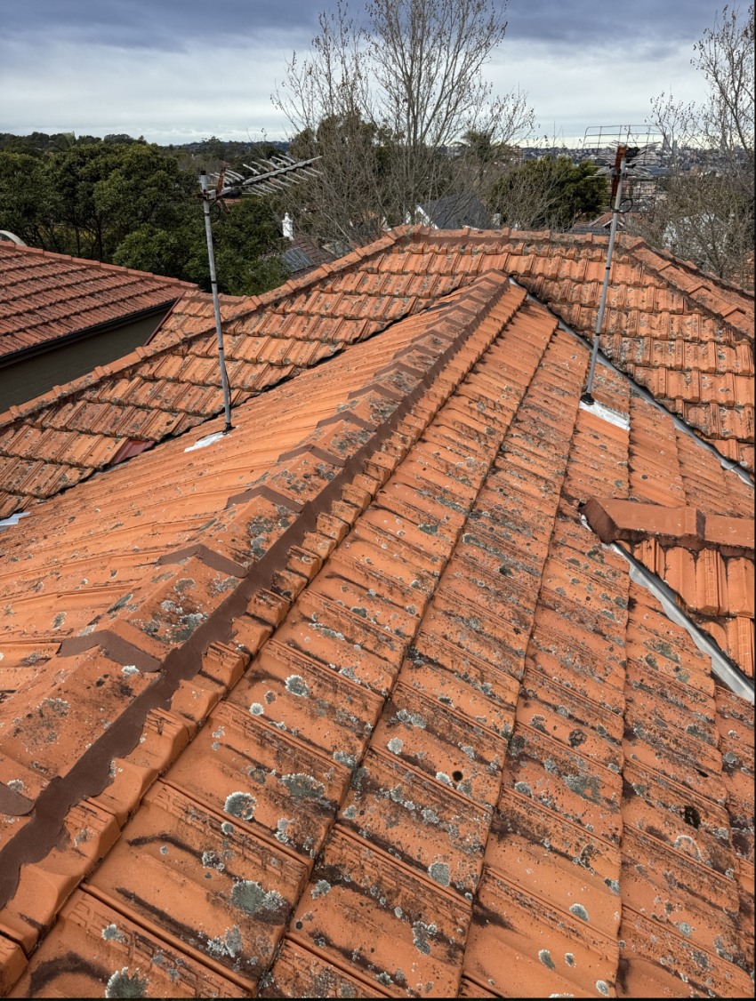 Professional tile roof repairs