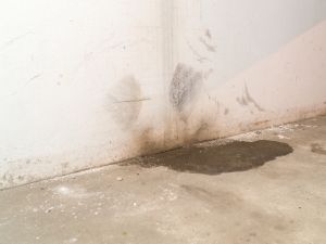 {{ custom_values.service_1 }} in {{custom_values.area_2})