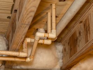 Fungus remediation in Bowling Green, KY.