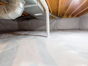 Fungus remediation in Nashville, TN.