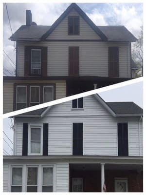 Fungus remediation in North & Central NJ