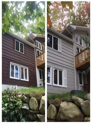Fungus remediation in Chatham Borough, NJ