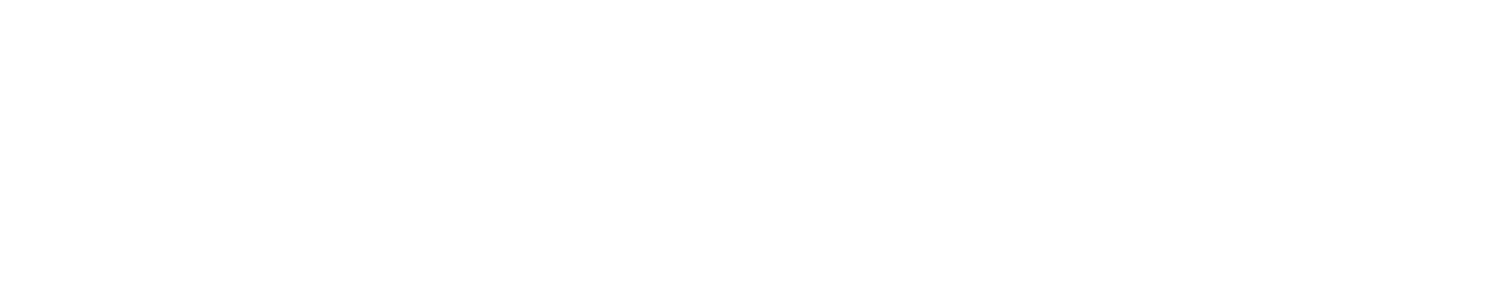 EveryCatch