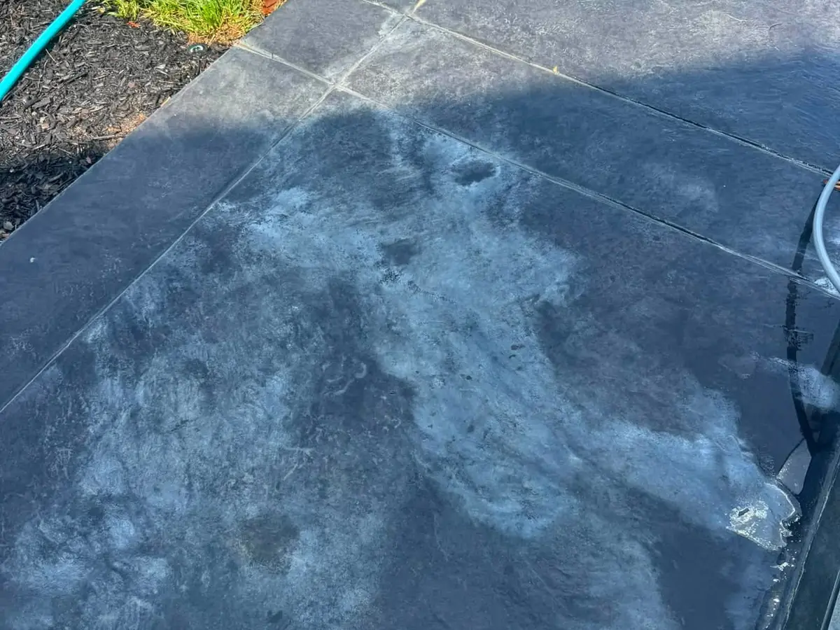 Before: patio concrete before Wash Wizard cleaning