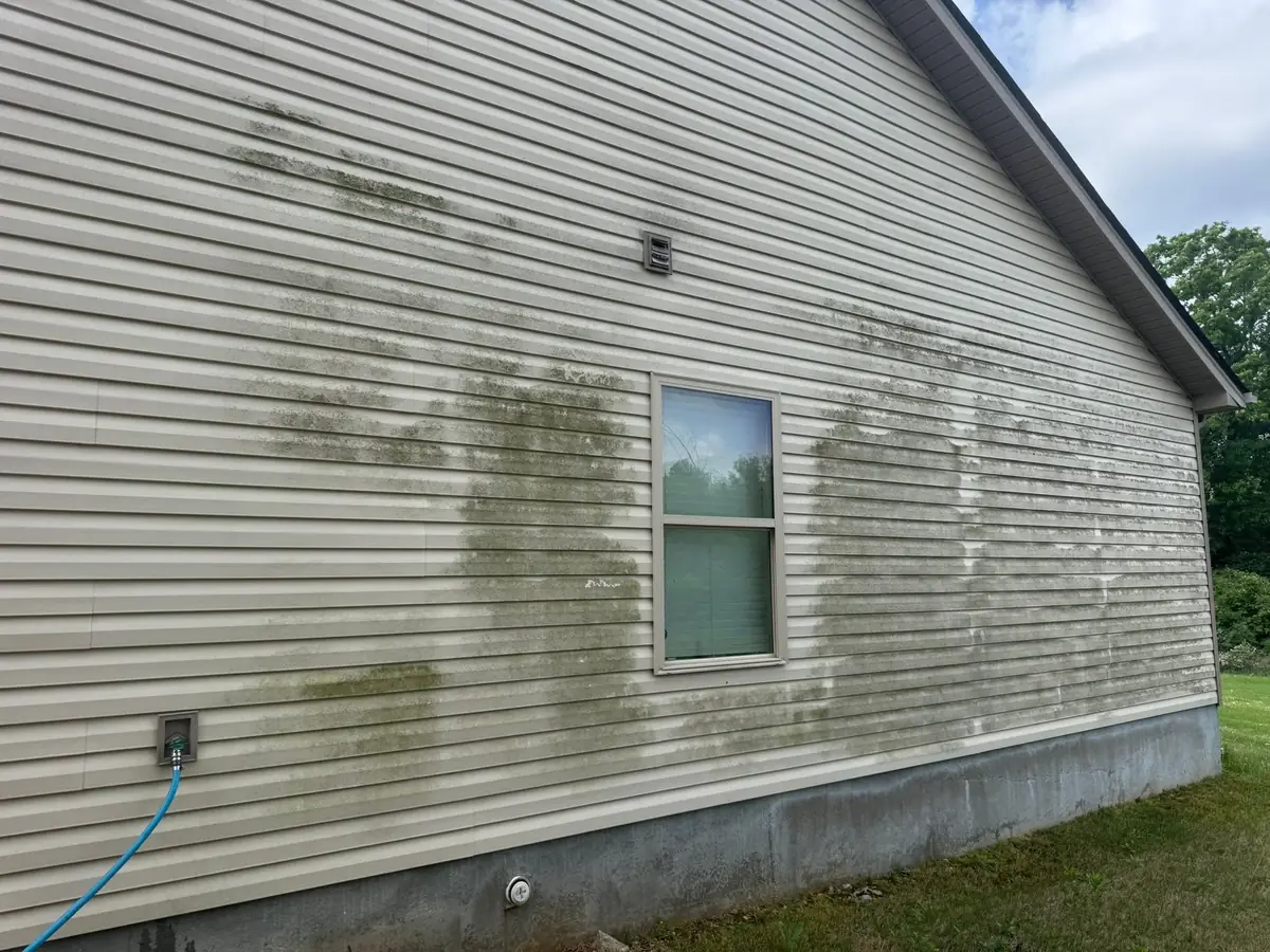 Before: green mildew and algae on vinyl siding in Hendersonville, TN