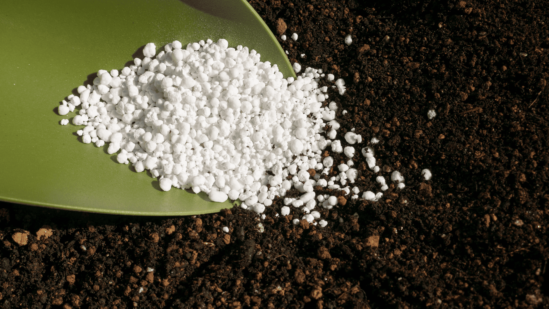 Fertilizing Program in Chester