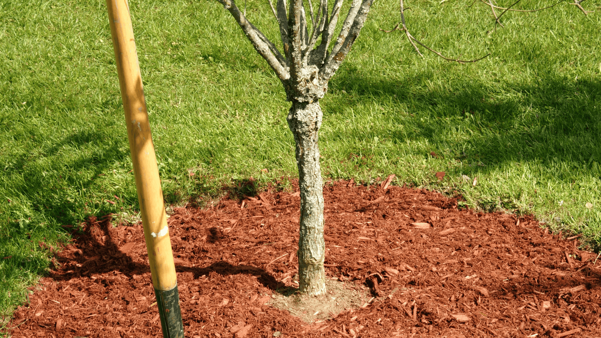 Mendham Mulching