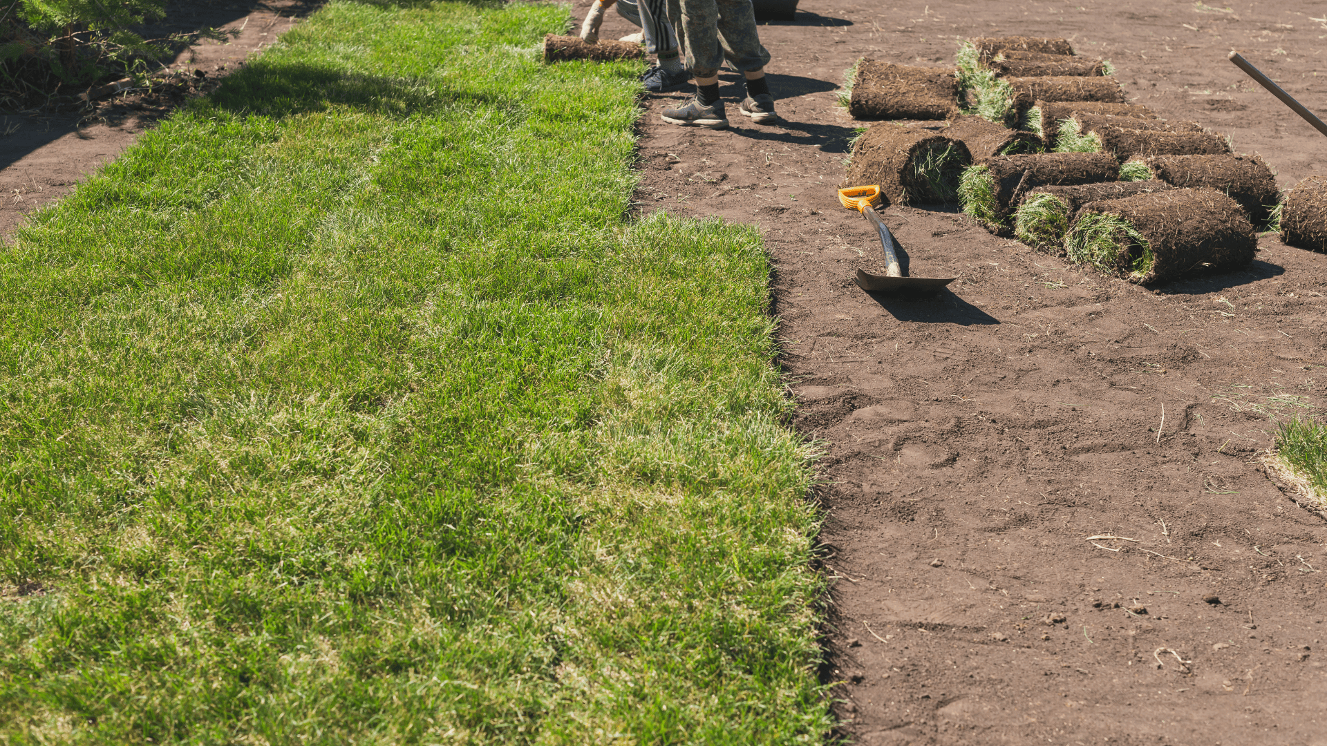 Mendham New Lawn Install