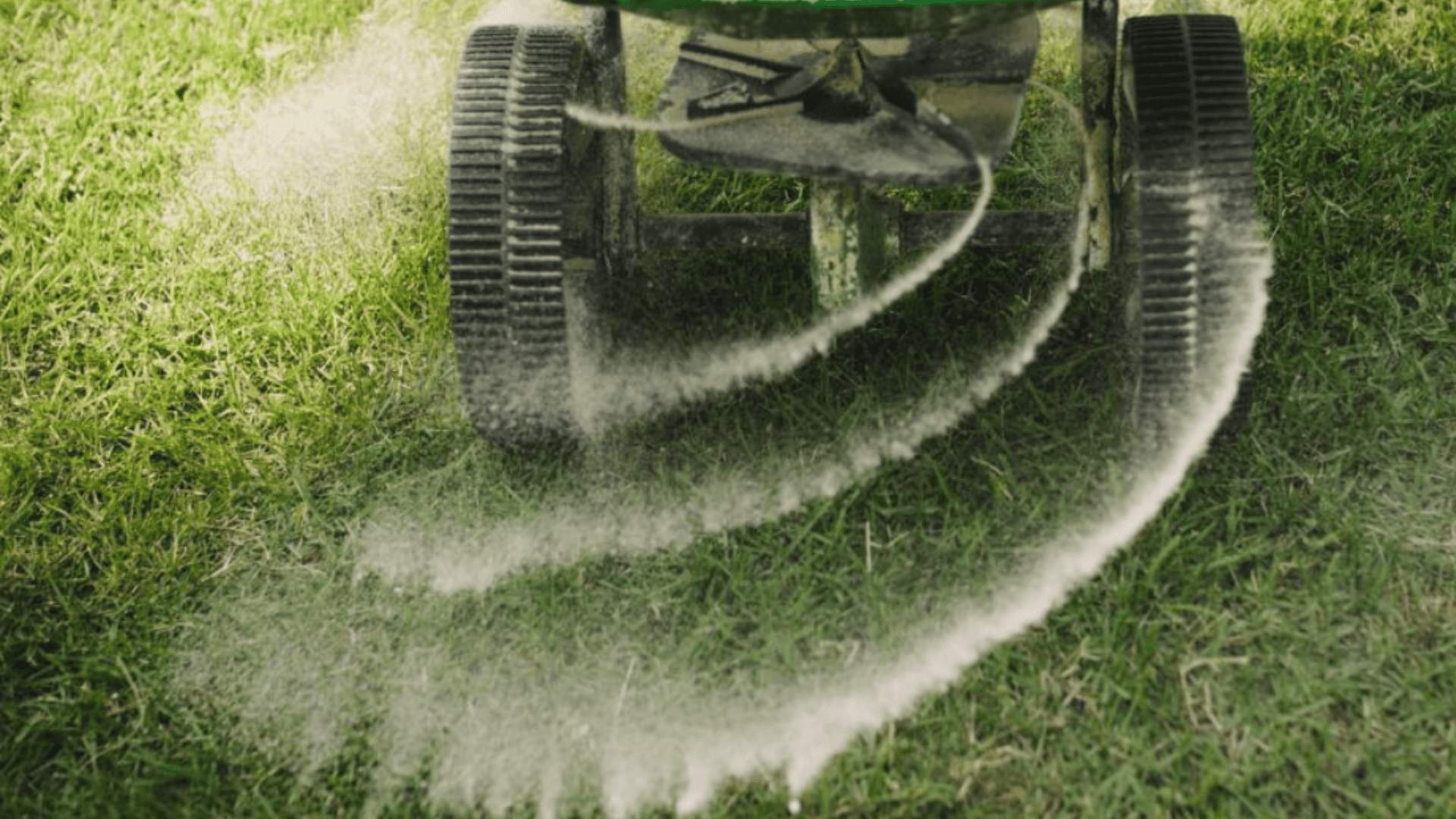 Mendham Fertilizing Program