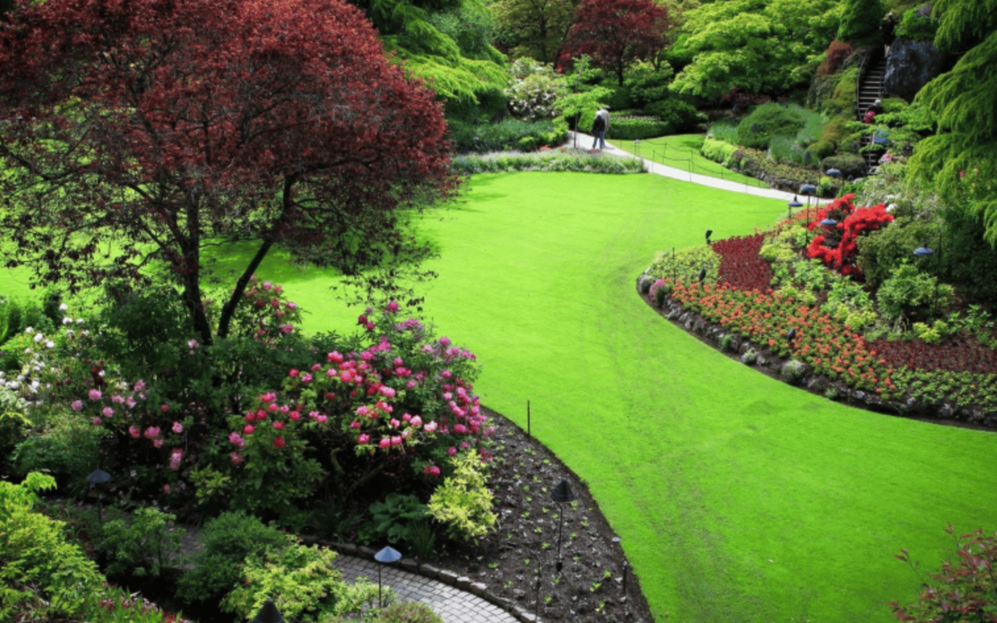 Fertilizing Program Chester