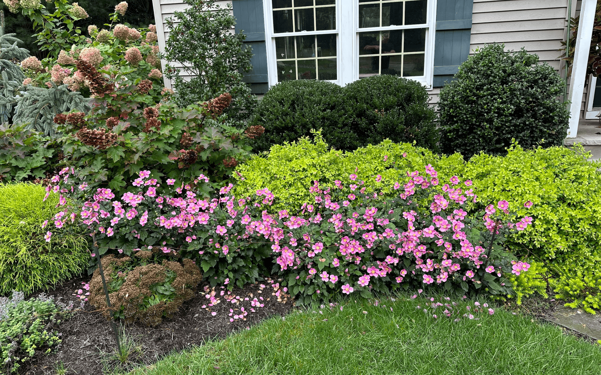 Garden Bed Design Chester