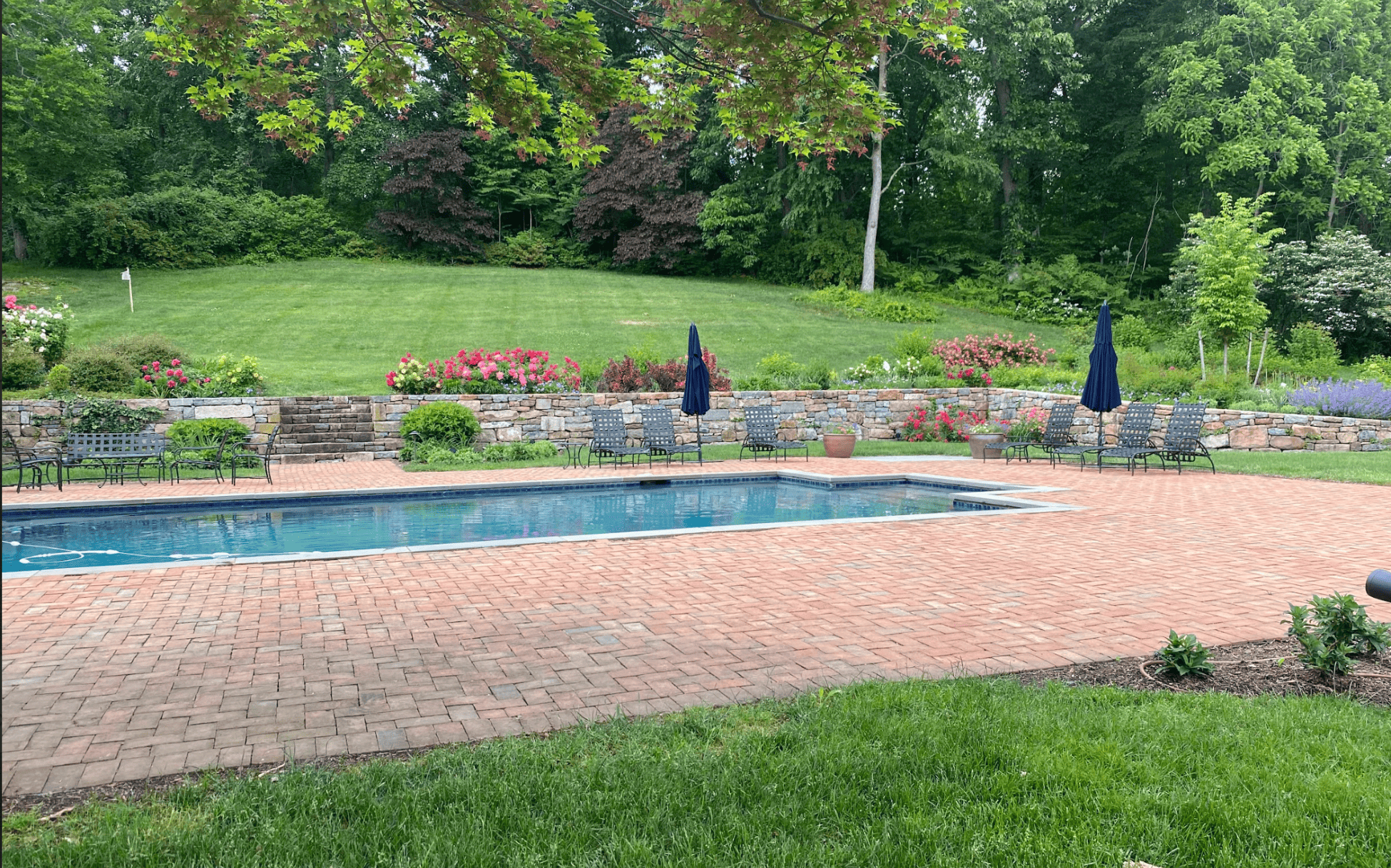 New Lawn Install Chester