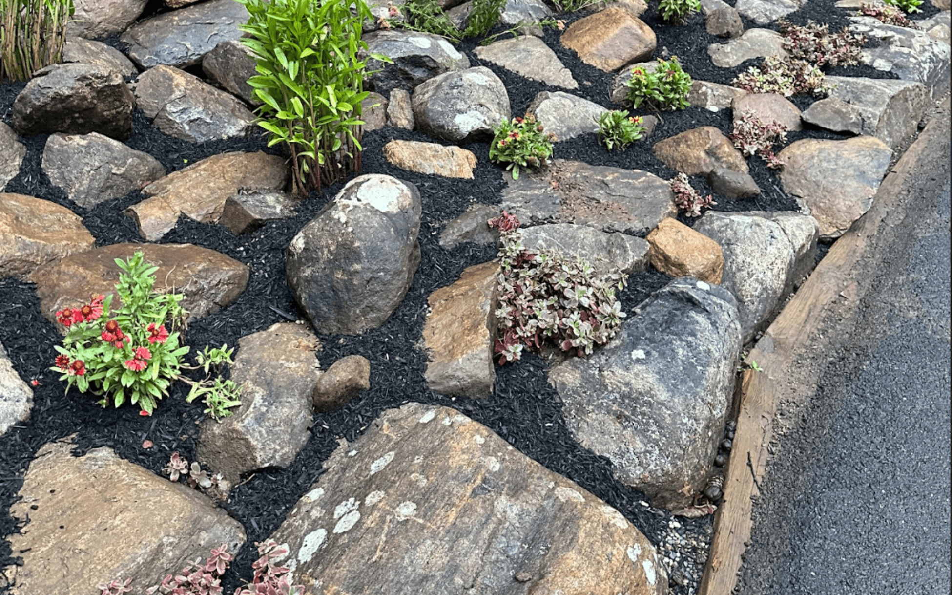 Plant Install Chester