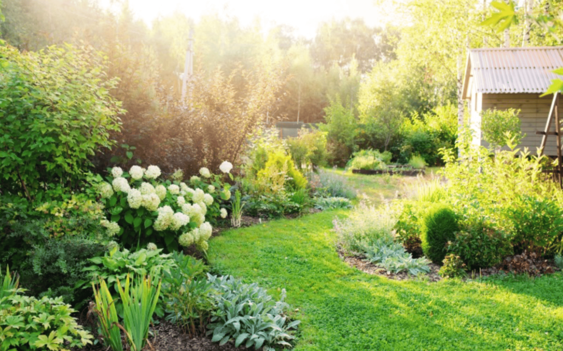 Plant Install Chester