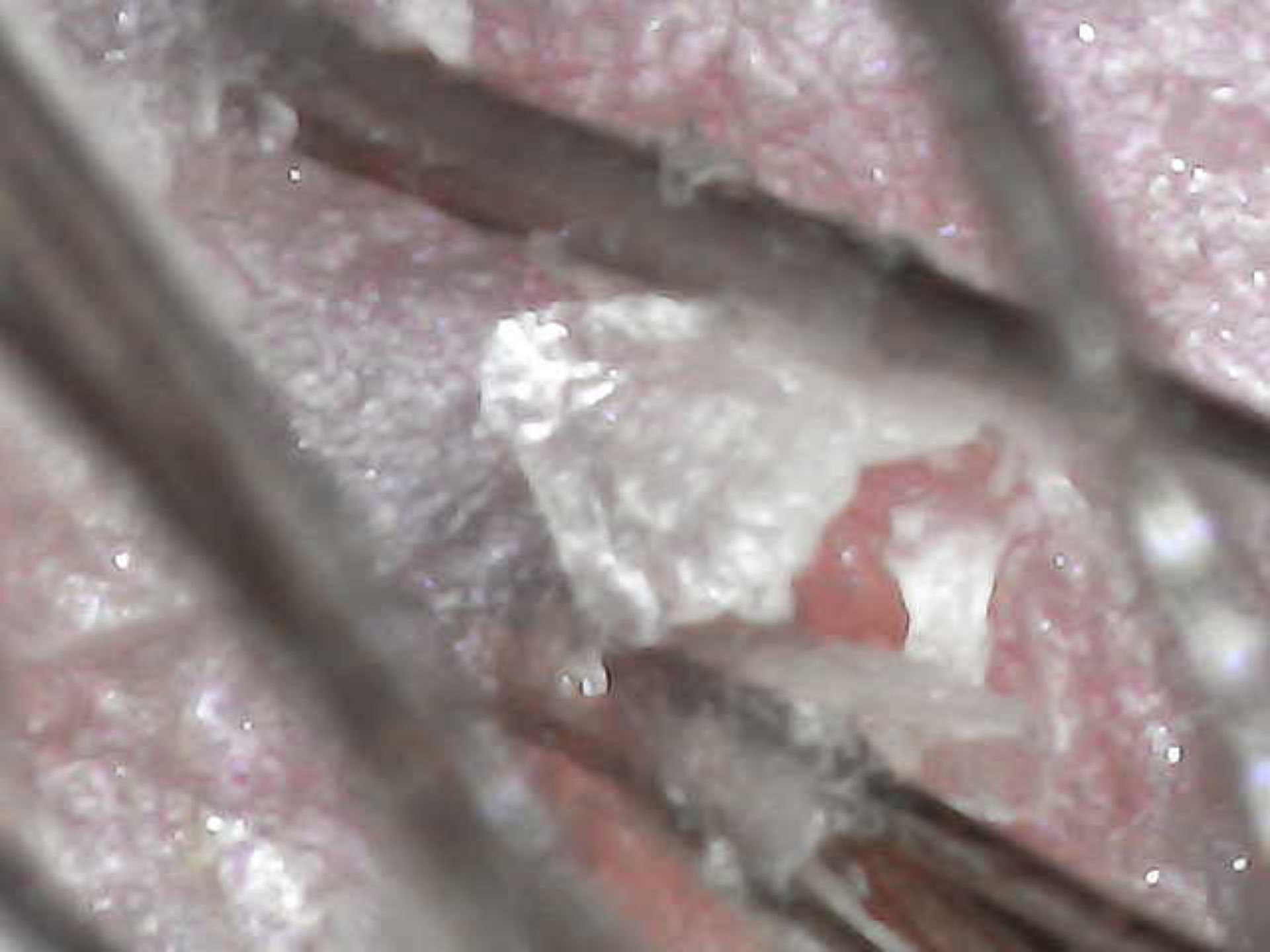 Hard Water & Mineral Buildup