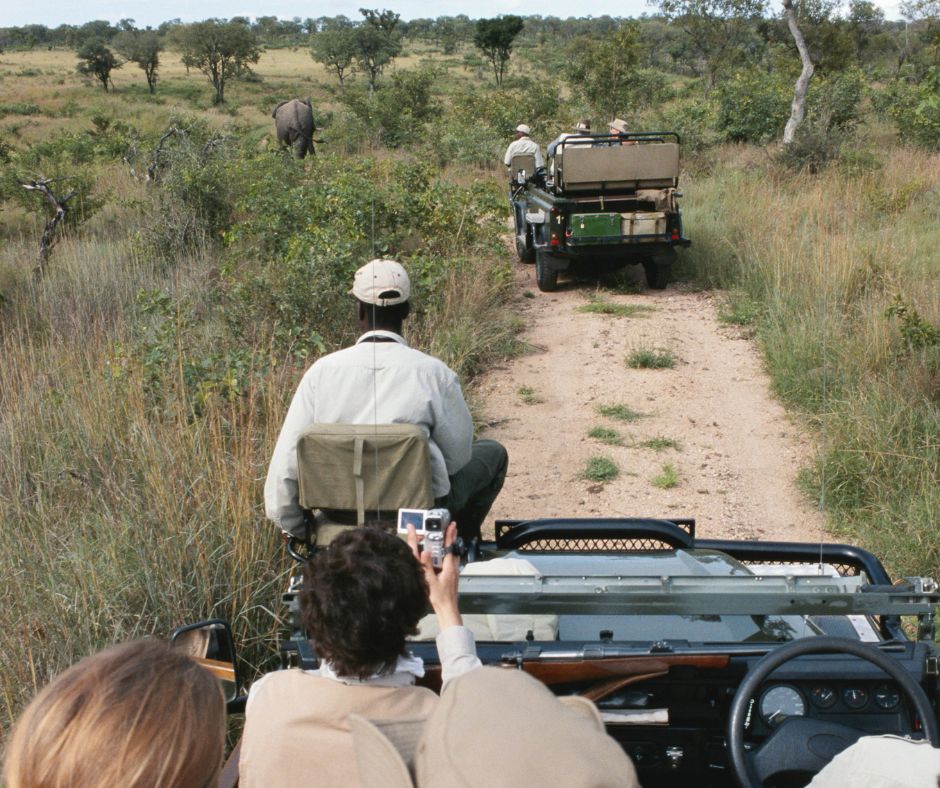 Maasai Mara tour