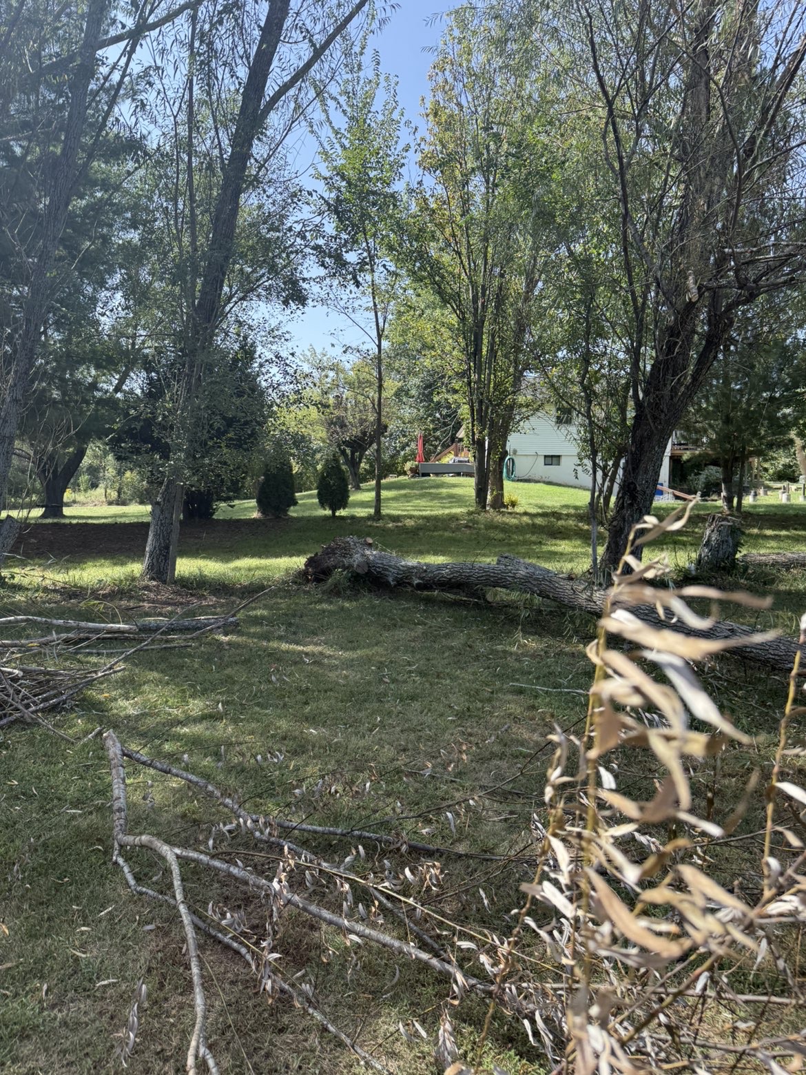 Brush clearing, tree work, and lot cleanup in Oak Grove, MO