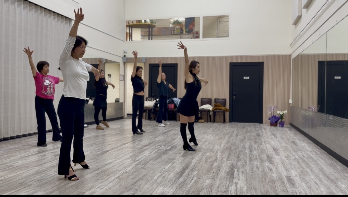 Elegant Latin Dance Technique Practice