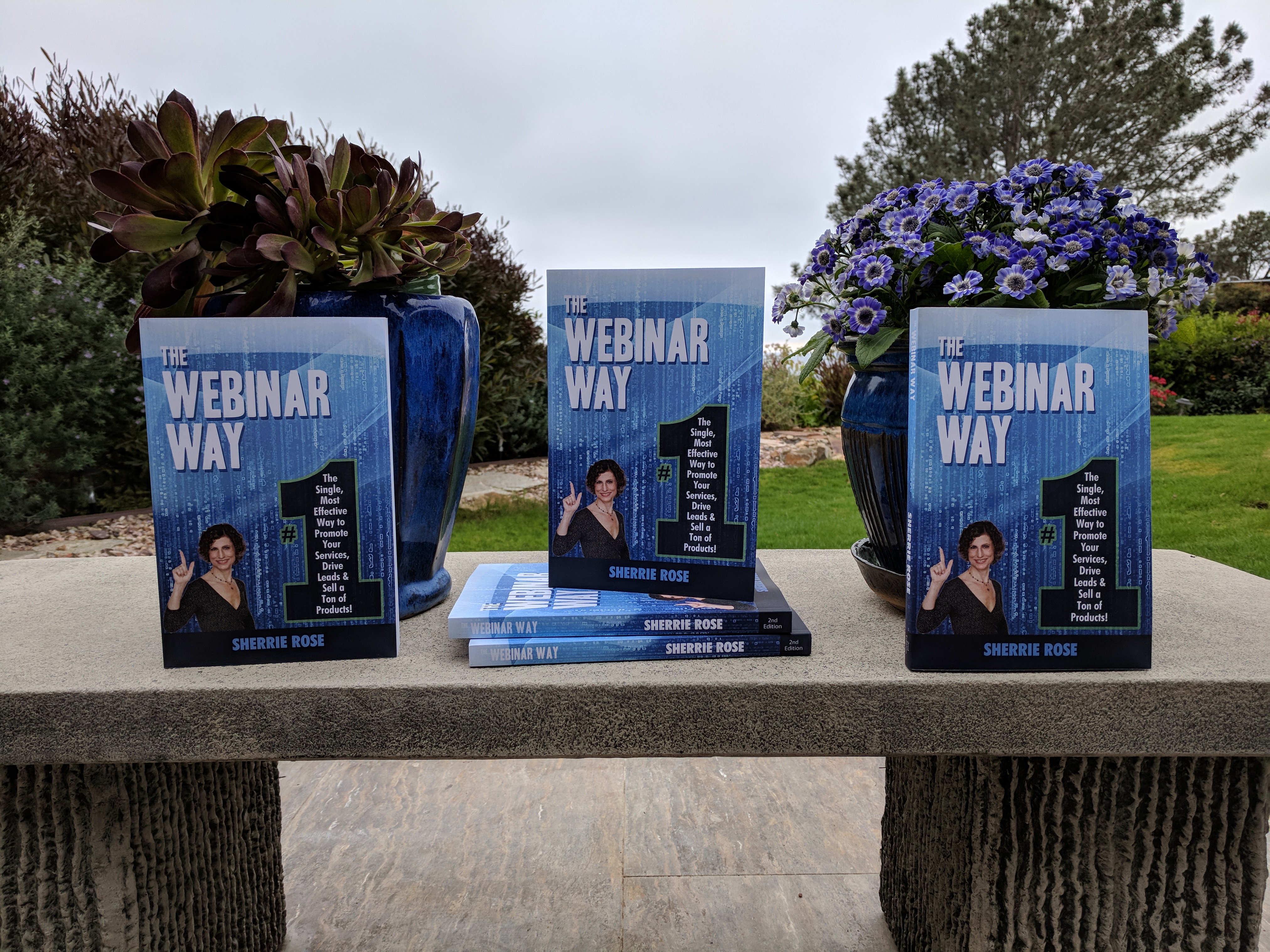 Photo of book, The Webinar Way by Sherrie Rose, author, copies stacked