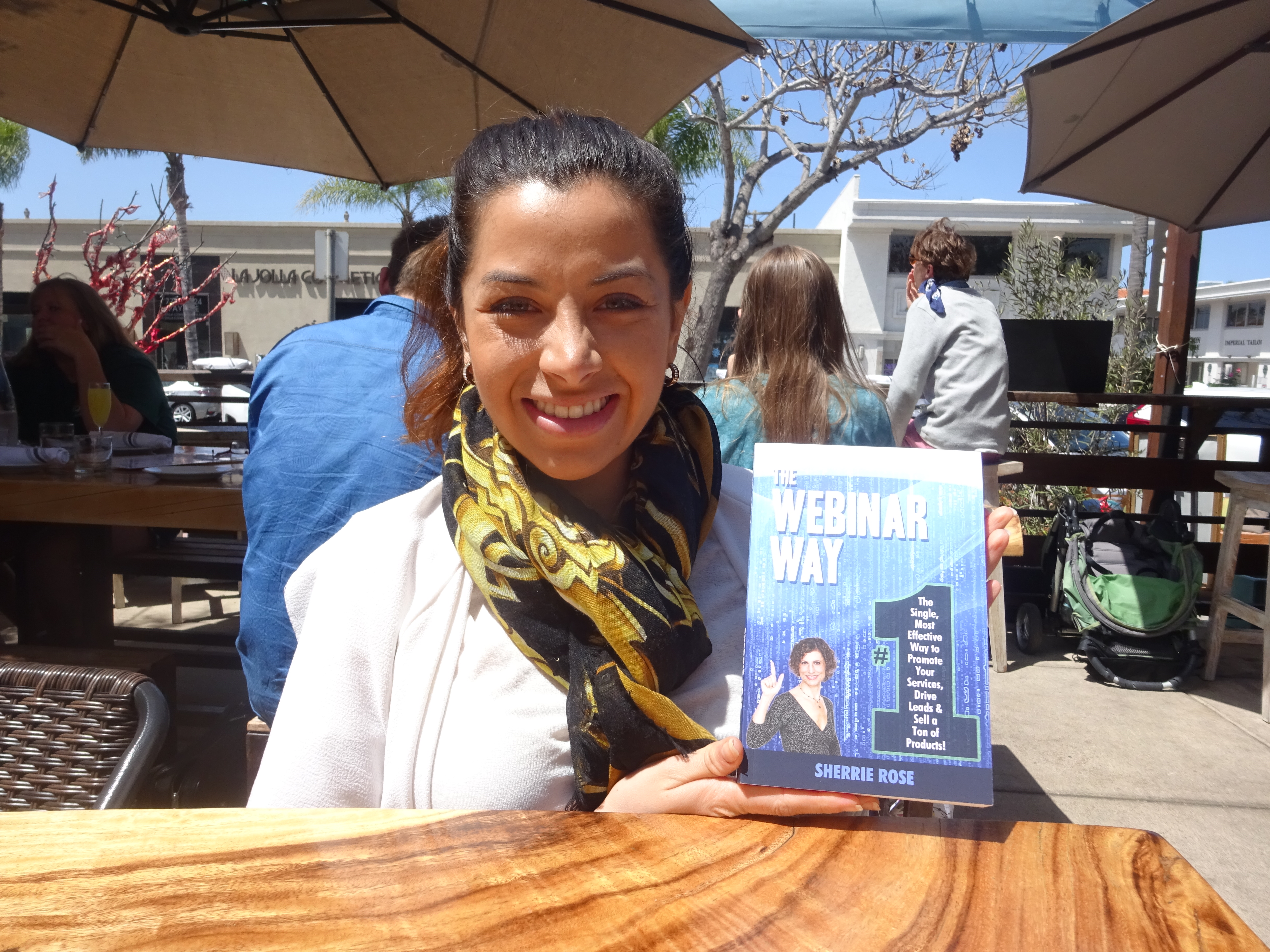 Photo of book, The Webinar Way by Sherrie Rose, author