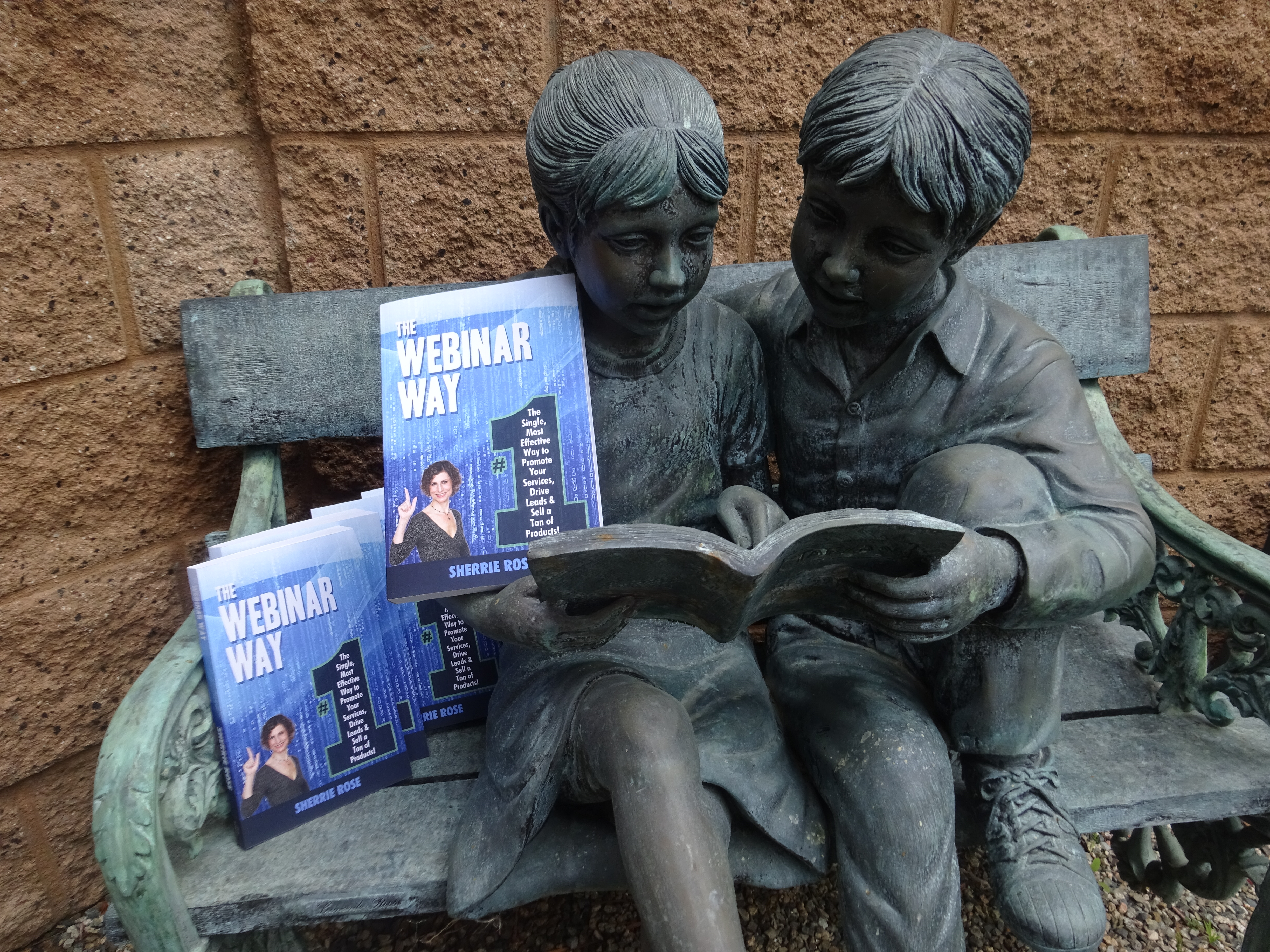 Photo of book, The Webinar Way by Sherrie Rose, author, copies stacked