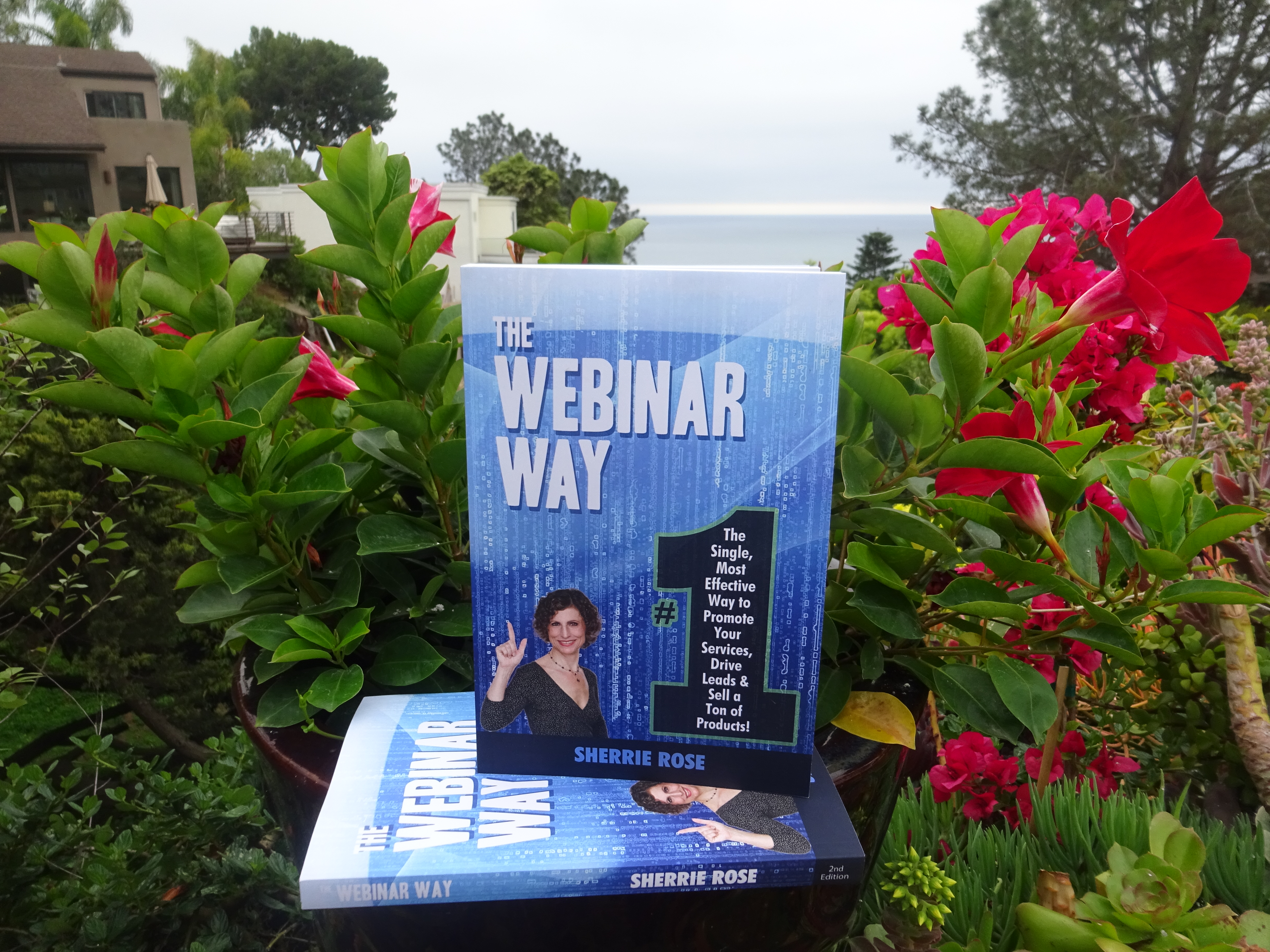 Photo of book, The Webinar Way by Sherrie Rose, author, copies stacked
