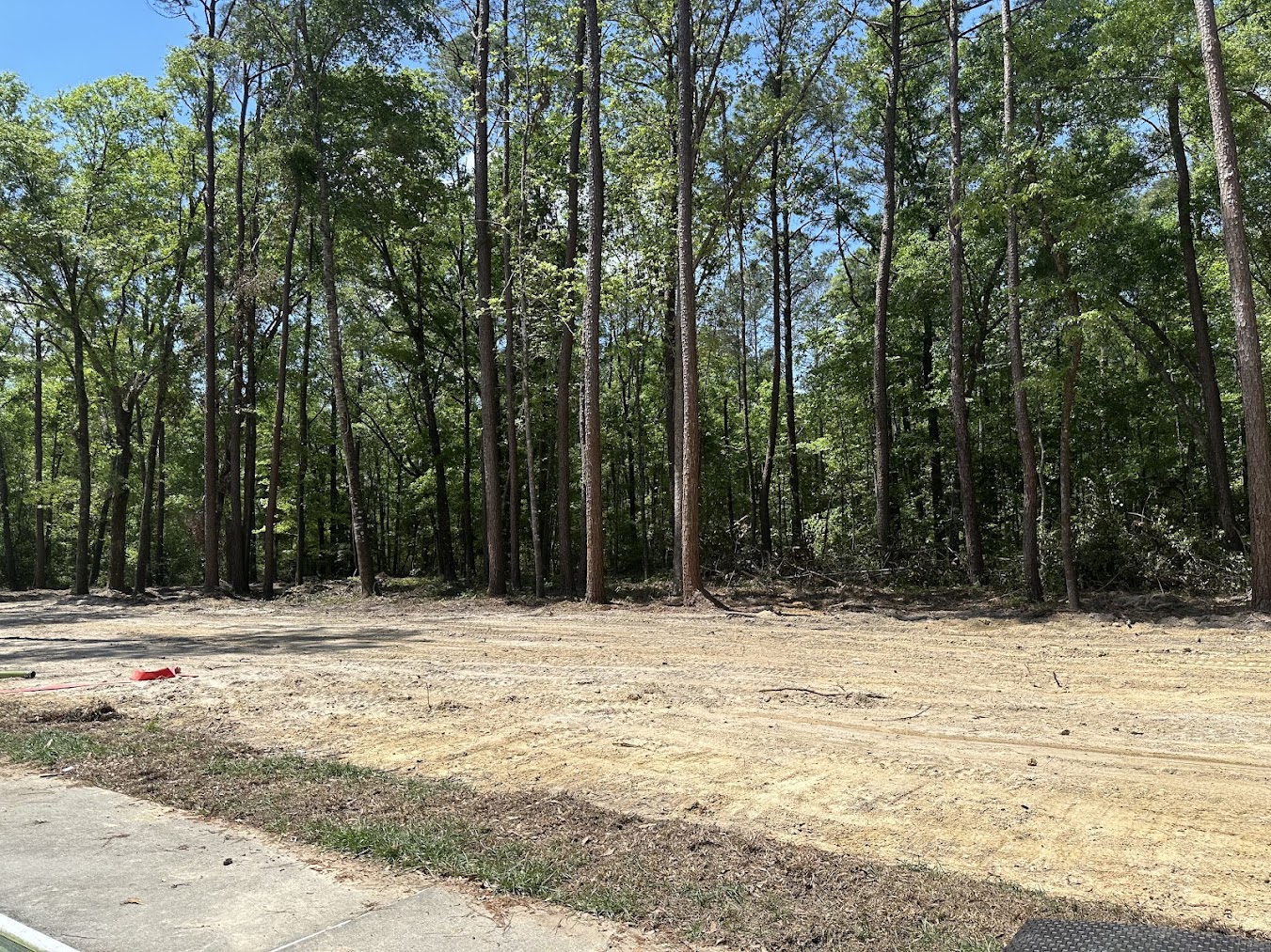 Dense overgrown brush and trees before land clearing in Guyton, GA